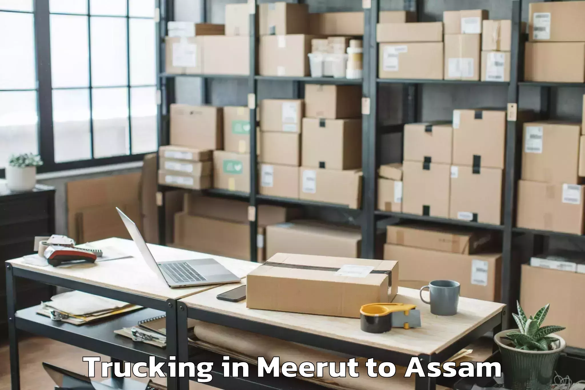 Affordable Meerut to Abhilashi University Guwahati Trucking